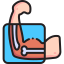 beneficial for vitamin k